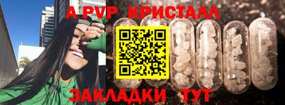 PSILOCYBIN Гусев