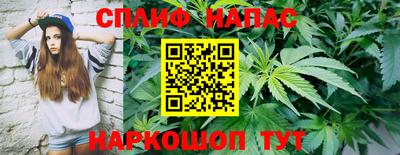 винт Гай