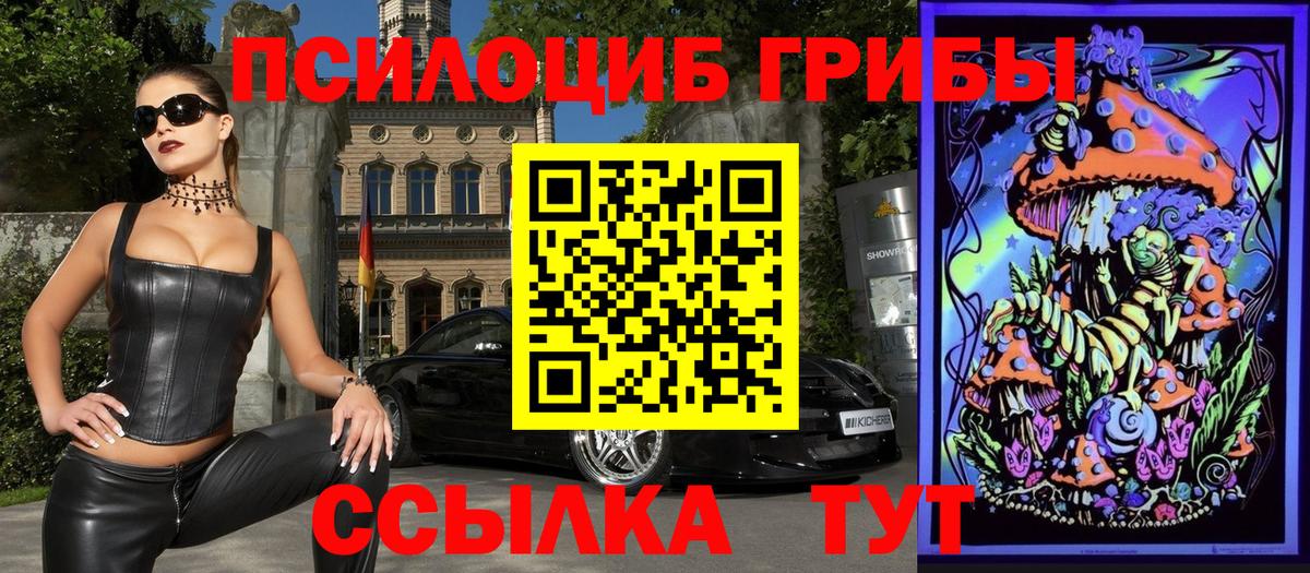 Кизилюрт  Псилоцибиновые грибы Magic Shrooms  Вход с VPN 